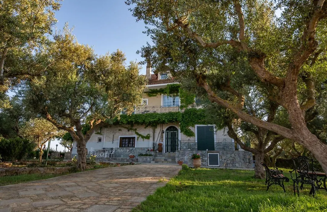 Villa Georgina B&B-1